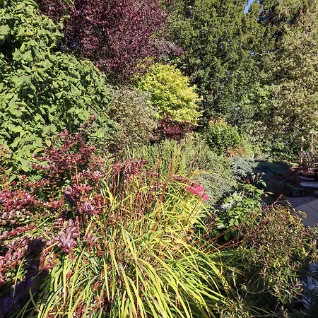 Edencroft Σπίτι διακοπών *